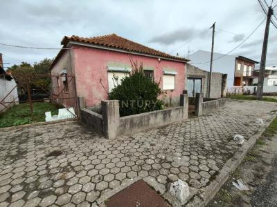 Aveiro, Aveiro 3800-038, Portugal