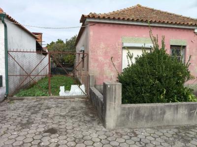 阿威罗, 阿威罗 3800-038, 葡萄牙