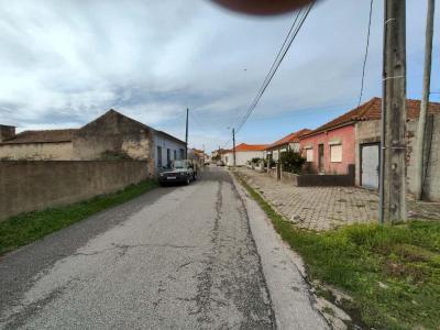 阿威罗, 阿威罗 3800-038, 葡萄牙