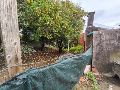 阿威罗, 阿威罗 3800-038, 葡萄牙