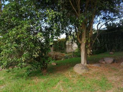 avenida san jose y de los cerezos s/n, Quito, Pichincha 00001, 厄瓜多尔