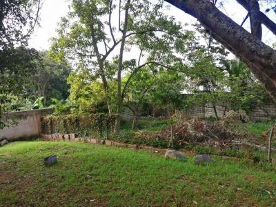 avenida san jose y de los cerezos s/n, Quito, Pichincha 00001, 厄瓜多尔