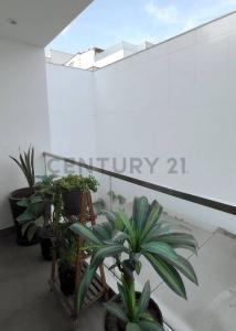 Avenida Velasco Astete , Lima, Lima 00001, 페루