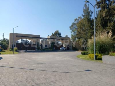 Francisco Landino ,, Tláhuac, Ciudad De México 13300, 墨西哥