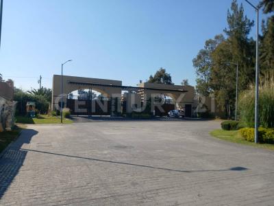 Francisco Landino ,, Tláhuac, Ciudad De México 13300, 墨西哥