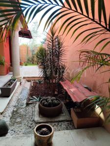 San Felipe del Agua S/N,, Oaxaca De Juárez, Oaxaca 68020, México