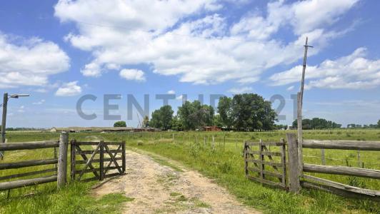 General Rodríguez, GBA Oeste 1749, Argentina