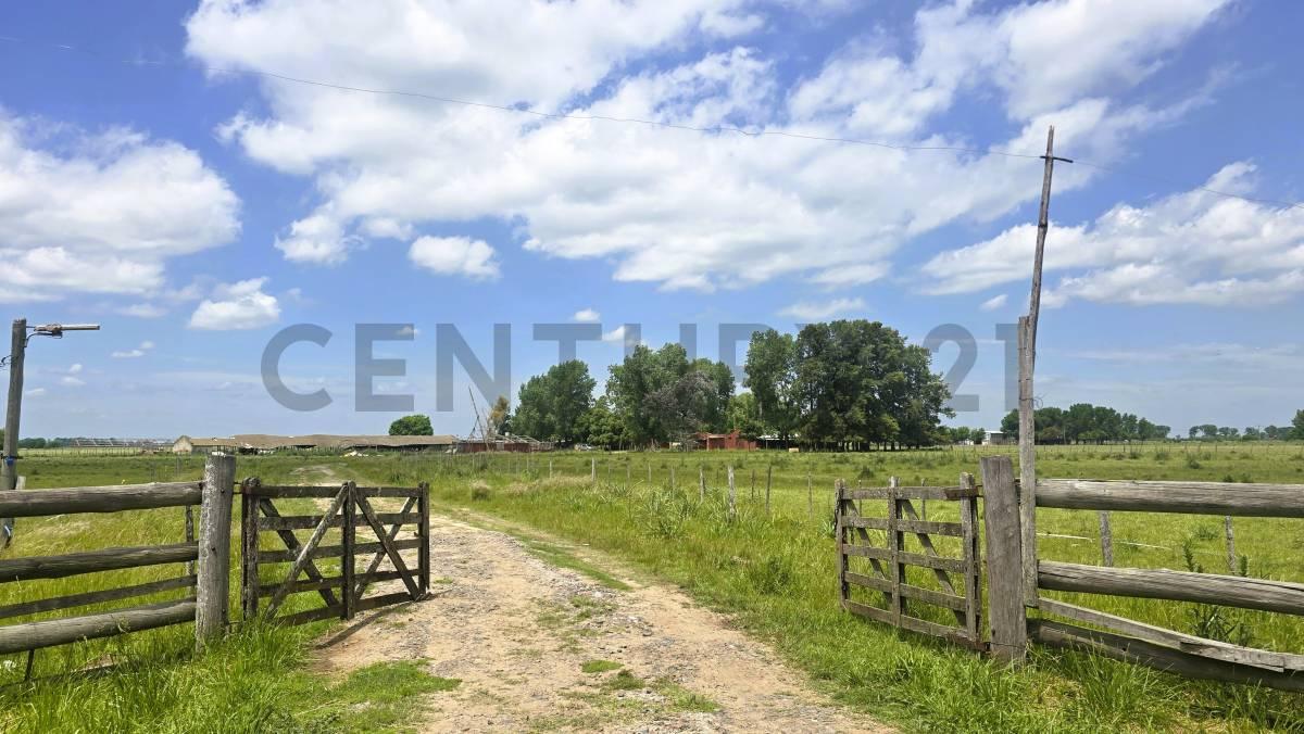 General Rodríguez, GBA Oeste 1749, Argentina