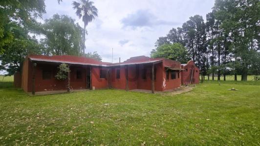 General Rodríguez, GBA Oeste 1749, Argentina