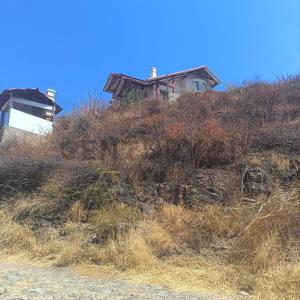 URBANIZACION EL PARAISO, MESADILLA , Este, Cochabamba 00000, Bolivia