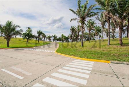Condominio Laguna Vista , Urubo, Santa Cruz 00001, Bolivia
