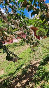 Principal s/n, Carrizal, Miranda 1203, Venezuela