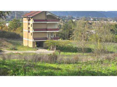 Mullet, Tirana, Albania