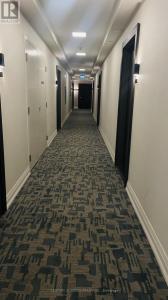 212 KING WILLIAM STREET, Hamilton (beasley), Ontario L8N 1B5, Canadá