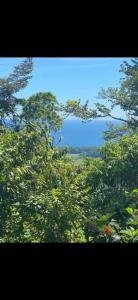 Quepos Quepos, Puntarenas 60901, Costa Rica