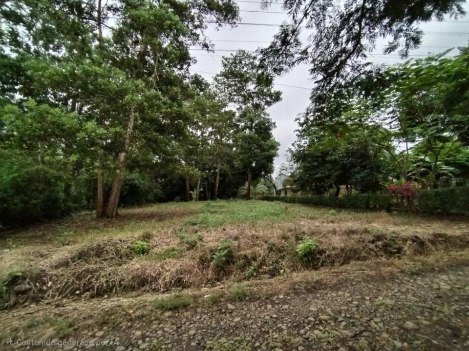 Peñas Blancas San Ramón, Alajuela 20111, Costa Rica