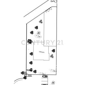Via Scuderi, Viagrande, Sicilia 95029, Italia