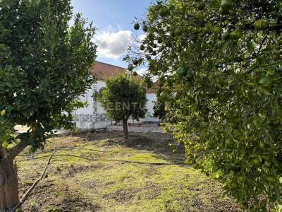 Palmela, Setúbal 2965-201, Bồ Đào Nha