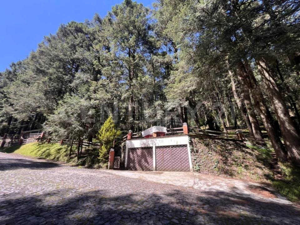 CERRADA ALPE SUISSI 54,55,56,57,, Naucalpan, Stato Del Messico 53650, Messico