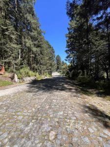 CERRADA ALPE SUISSI 54,55,56,57,, Naucalpan, Stato Del Messico 53650, Messico