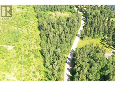 LOT 1 TEN MILE LAKE ROAD, Quesnel, 不列顛哥倫比亞省 V2J 6X2, 加拿大
