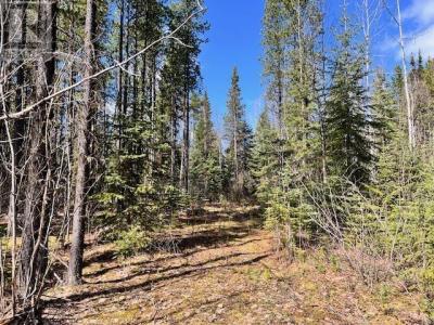 4 POLLARD ROAD, Quesnel, British Columbia V2J 6X5, Canada