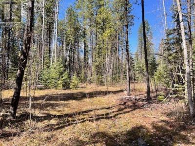 4 POLLARD ROAD, Quesnel, British Columbia V2J 6X5, Canada