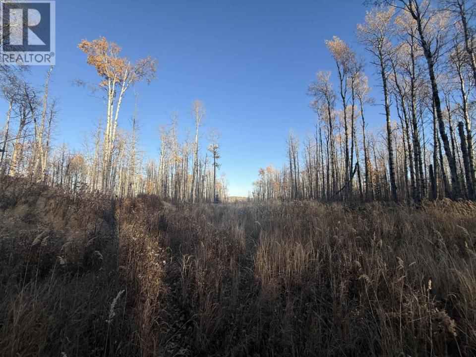 279 ROAD, Charlie Lake, Colúmbia Britânica V0C 1H0, Canadá