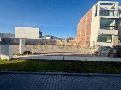 Solar de Sachaca , Arequipa, Arequipa 00001, Peru