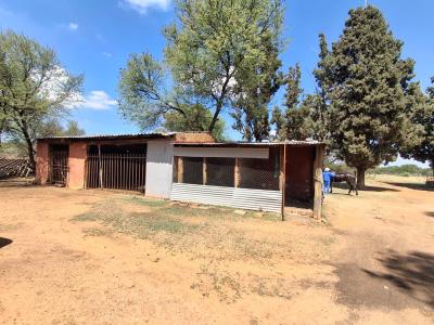 Bloemfontein, Free State, 南非