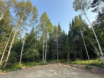 65  Ch. de la Charmille, Mont-Tremblant, 魁北克省 J8E 0C4, 加拿大