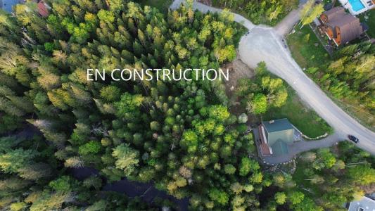 65  Ch. de la Charmille, Mont-Tremblant, 魁北克省 J8E 0C4, 加拿大