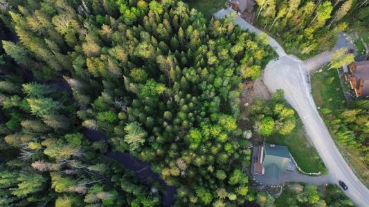 65  Ch. de la Charmille, Mont-Tremblant, 魁北克省 J8E 0C4, 加拿大