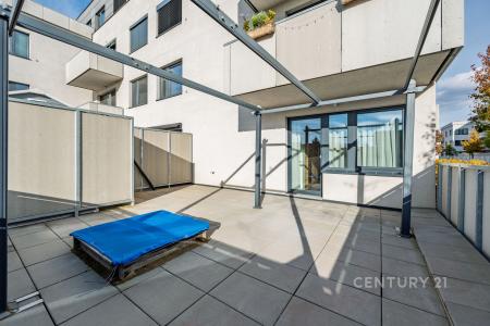 1125/7, Žižkova, Horoměřice, Praha-západ 25262, Czech Republic