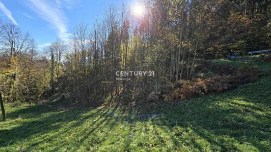 Cesta na Žavcerja, Maribor, Podravska 2354, Slovenia