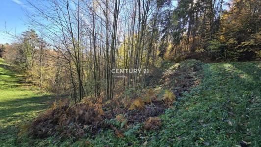 Cesta na Žavcerja, Maribor, Podravska 2354, Slovenia