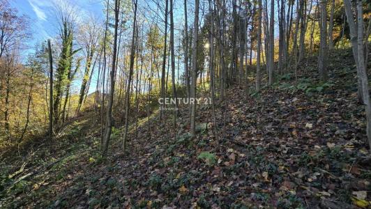 Cesta na Žavcerja, Maribor, Podravska 2354, Slovenia