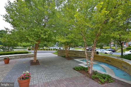 1900 Lyttonsville Road , 802, Silver Spring, 馬里蘭州 20910, 美國