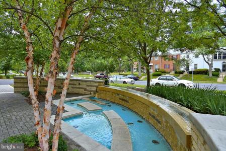 1900 Lyttonsville Road , 802, Silver Spring, 馬里蘭州 20910, 美國