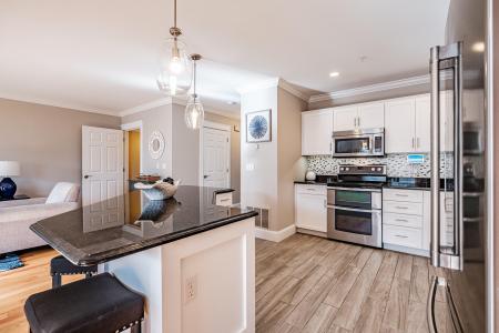 11 Osprey Terrace, Portland, Maine 04103, Amerika Birleşik Devletleri