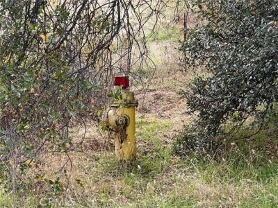 Hangtree Court, Oakhurst, كاليفورنيا 93644, الولايات المتحدة