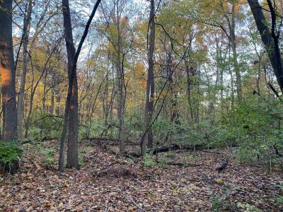 Oak Drive, Three Rivers, Michigan 49093, Stati Uniti