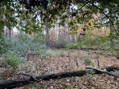 Oak Drive, Three Rivers, Michigan 49093, Stati Uniti