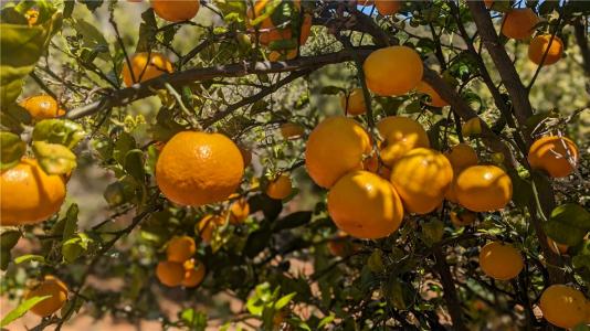 27 Via Escalon, Temecula, California 92590, USA