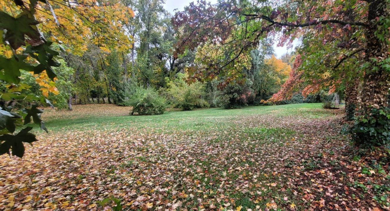 10077 Bar Hill Road, Penn Valley, קליפורניה 95946, ארצות הברית של אמריקה 