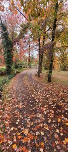 10077 Bar Hill Road, Penn Valley, קליפורניה 95946, ארצות הברית של אמריקה 