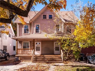 3860 W 18th Street, Cleveland, Ohio 44109
