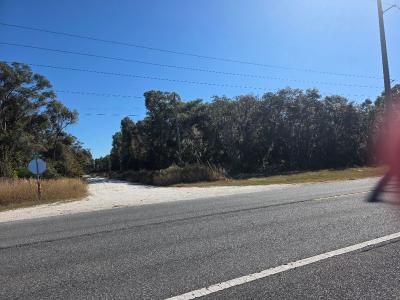 44 NE 465th Ave, Old Town, 佛羅里達州 32680, 美國