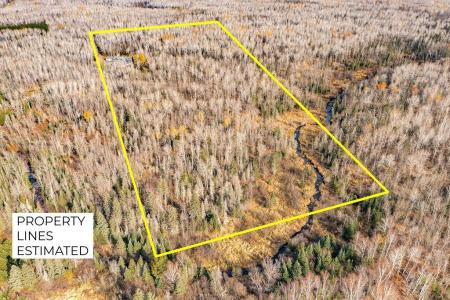 6048 Lakewood Rd, Duluth, מינסוטה 55804-9617, ארצות הברית של אמריקה 