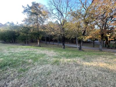 108 Boggy Lane, Mena, Arkansas 71953, Amerika Birleşik Devletleri